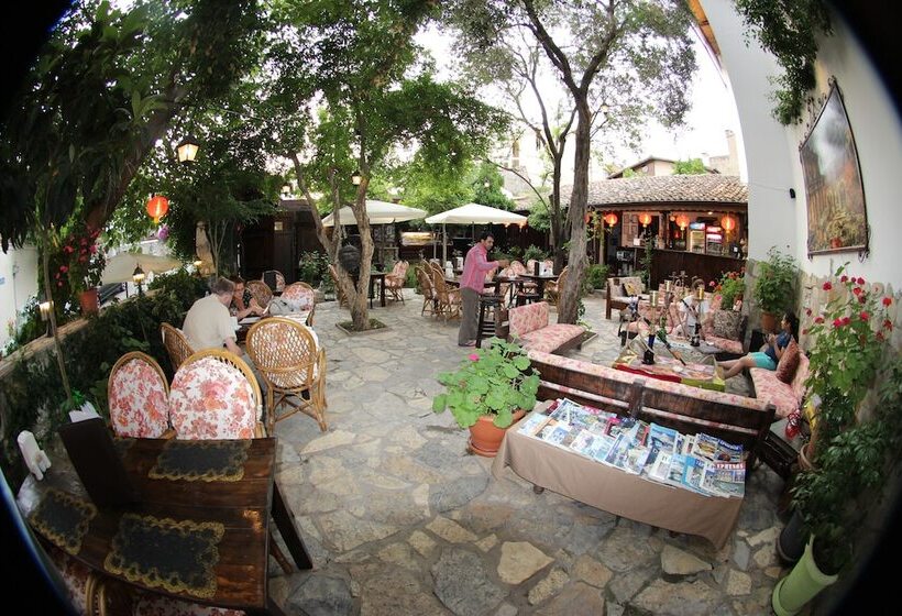 酒店 Boomerang Guest House