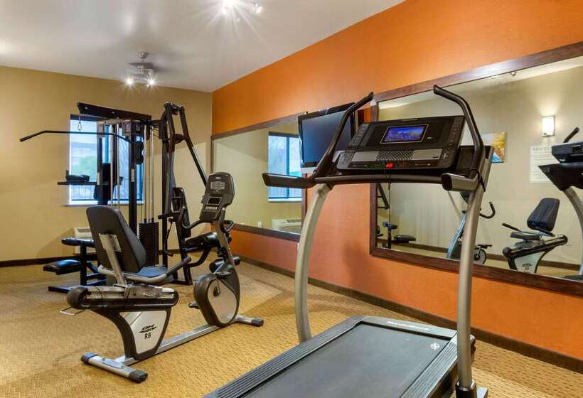 فندق Comfort Inn & Suites