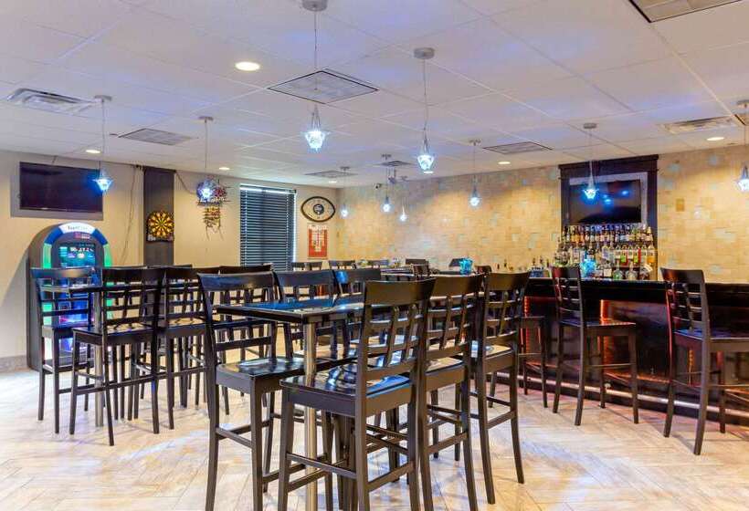 فندق Comfort Inn & Suites