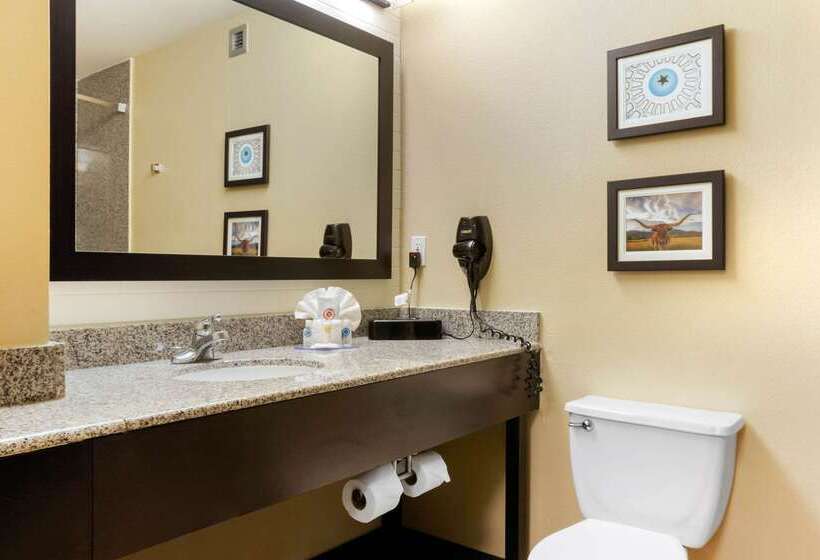 فندق Comfort Inn & Suites