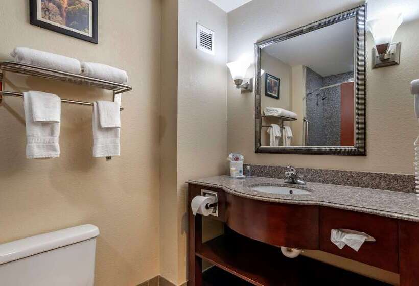 فندق Comfort Inn & Suites