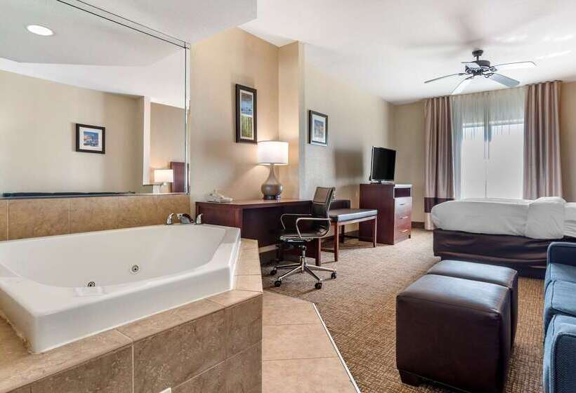 فندق Comfort Inn & Suites