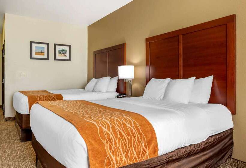 酒店 Comfort Inn Near Unt