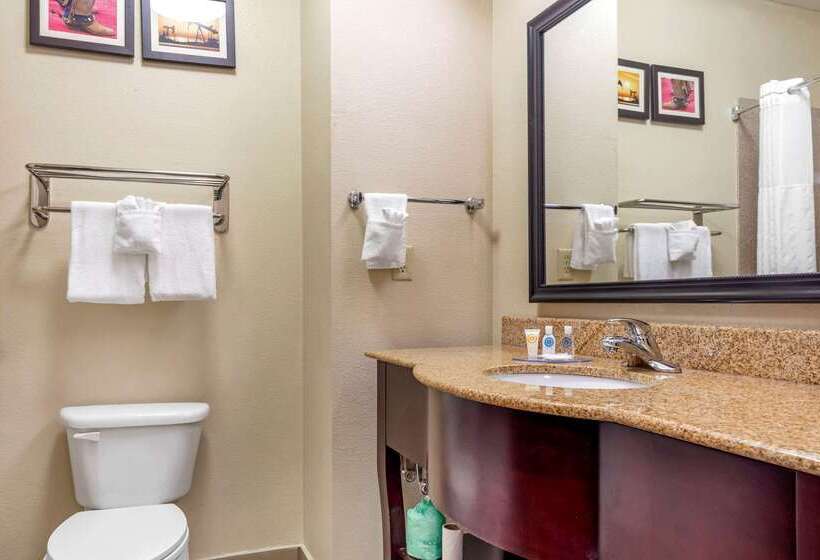 酒店 Comfort Inn Near Unt