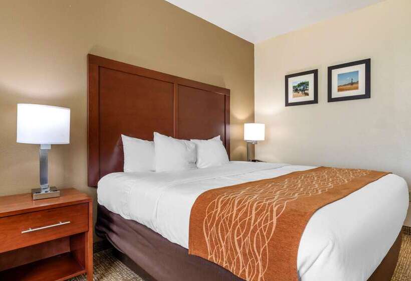 בית מלון כפרי Comfort Inn Near Unt