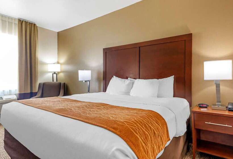 酒店 Comfort Inn Near Unt