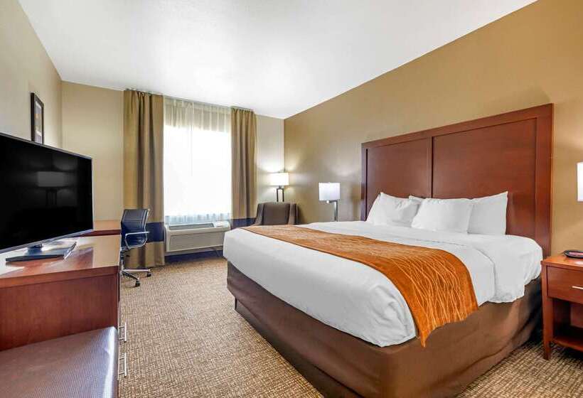 酒店 Comfort Inn Near Unt