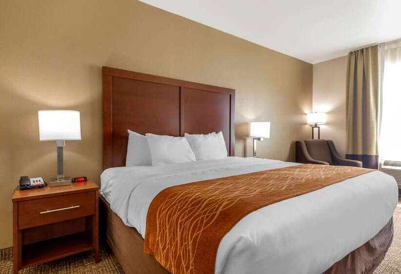 酒店 Comfort Inn Near Unt