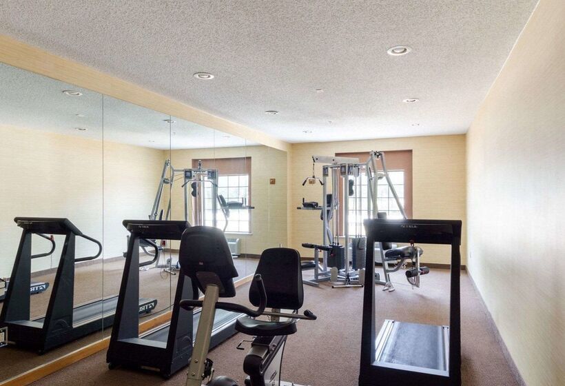 فندق Comfort Inn & Suites