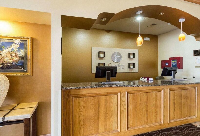 فندق Comfort Inn & Suites