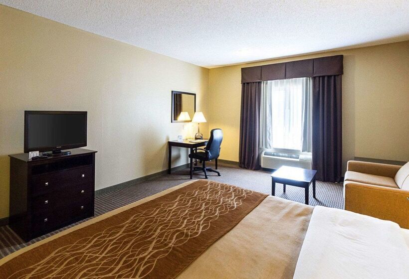 فندق Comfort Inn & Suites