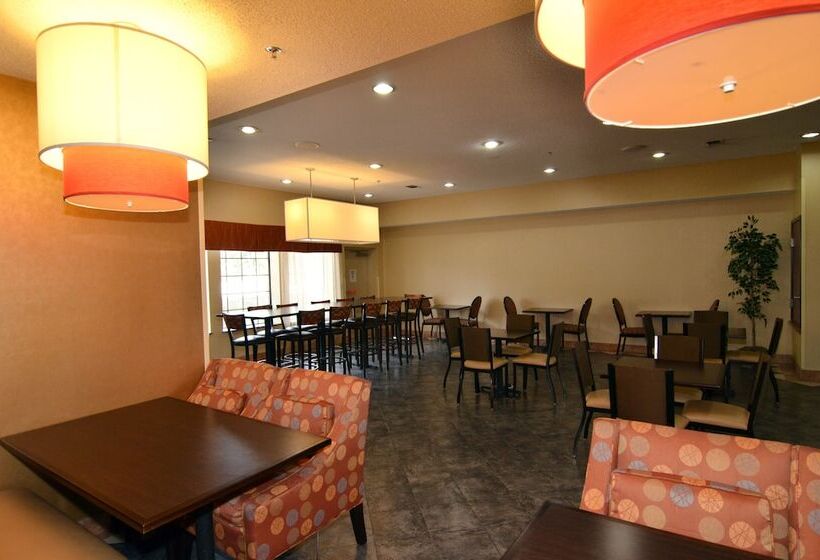 فندق Comfort Inn & Suites