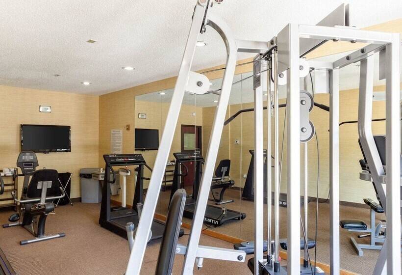 فندق Comfort Inn & Suites