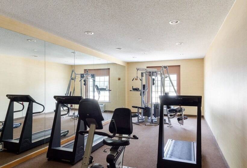 فندق Comfort Inn & Suites