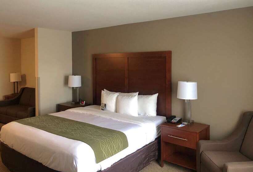 בית מלון כפרי Comfort Inn & Suites