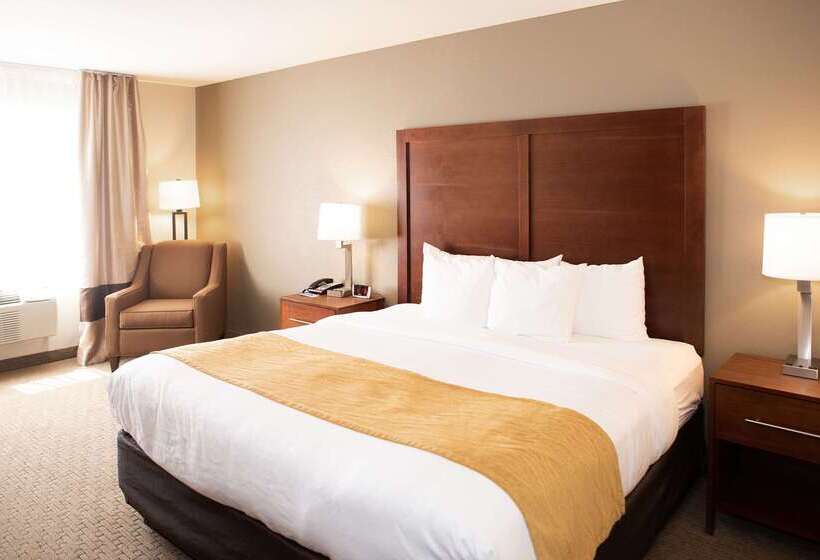 هتل Comfort Inn & Suites