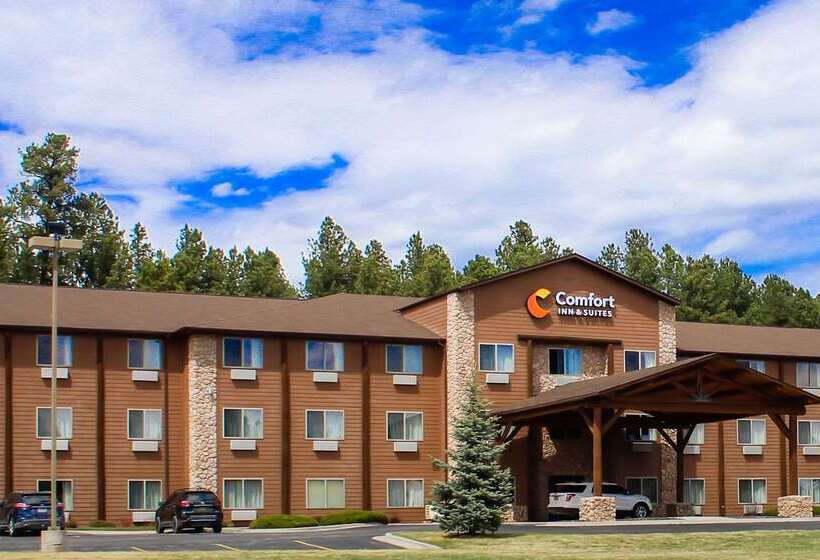 בית מלון כפרי Comfort Inn & Suites