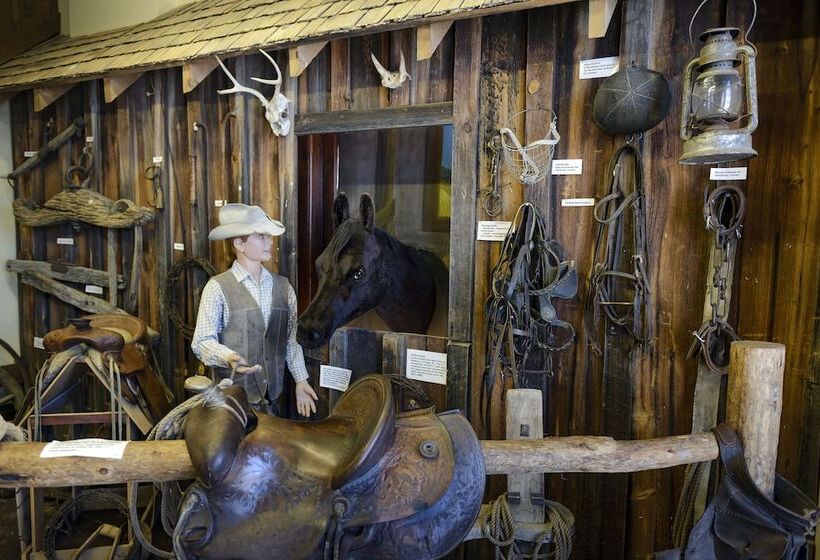 בית מלון כפרי Comfort Inn & Suites