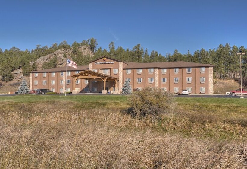هتل Comfort Inn & Suites