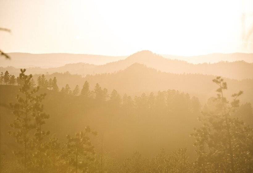 בית מלון כפרי Comfort Inn & Suites