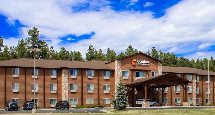 בית מלון כפרי Comfort Inn & Suites