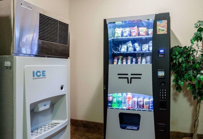 فندق Comfort Inn & Suites