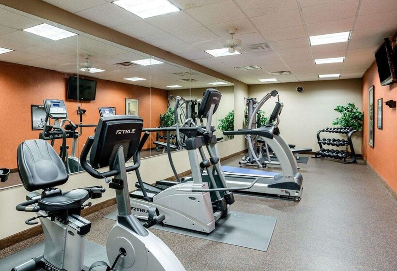 فندق Comfort Inn & Suites