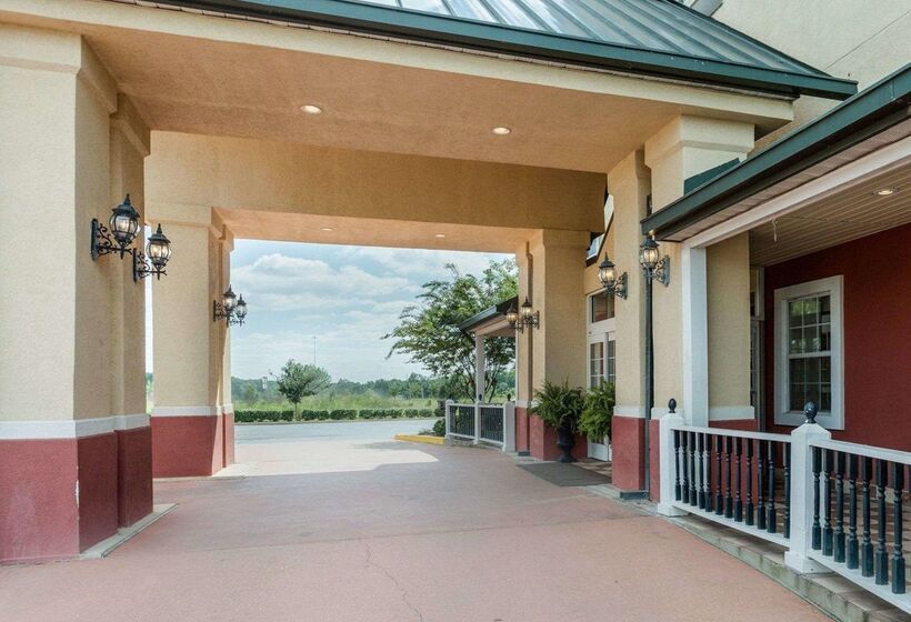 فندق Comfort Inn & Suites