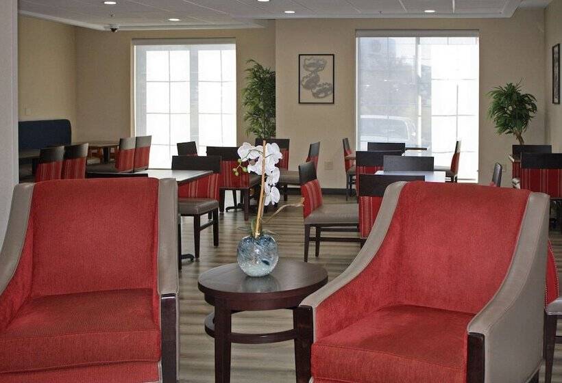 فندق Comfort Inn & Suites