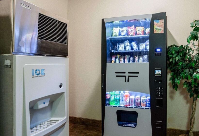 فندق Comfort Inn & Suites