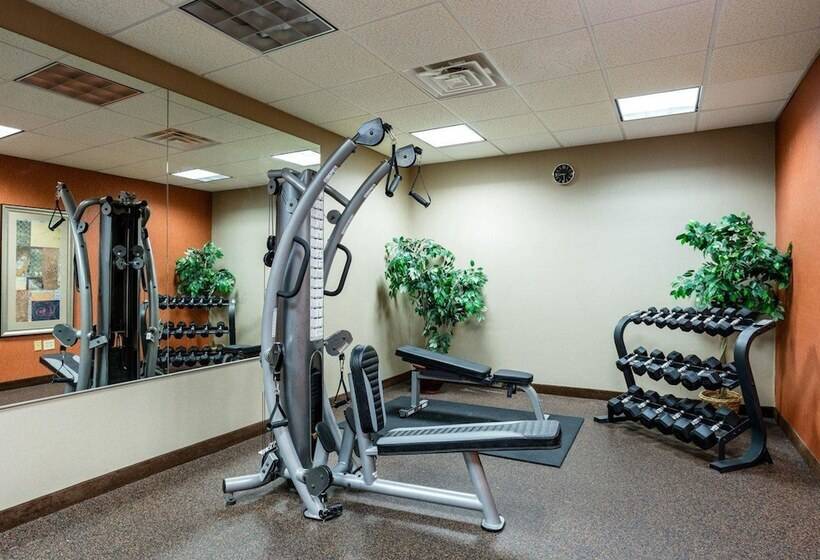 فندق Comfort Inn & Suites