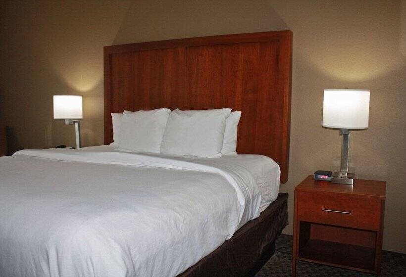 فندق Comfort Inn & Suites