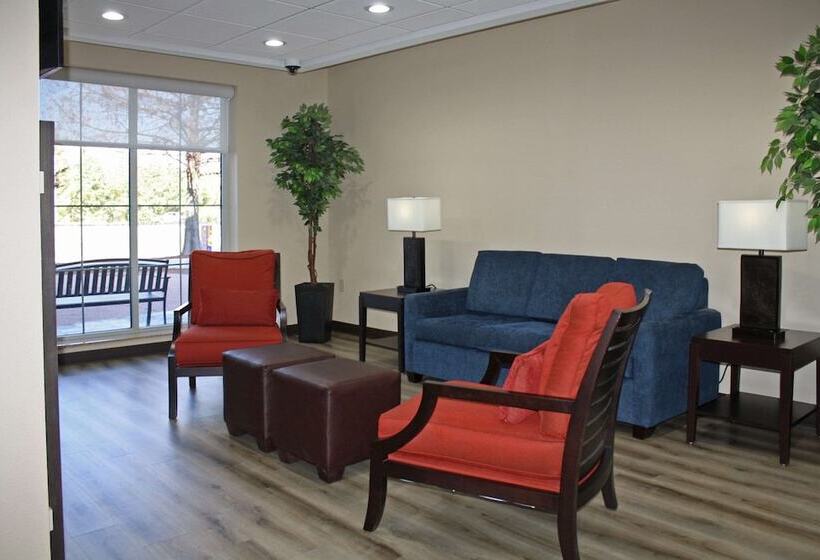 فندق Comfort Inn & Suites