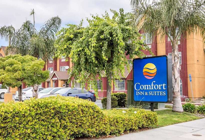فندق Comfort Inn & Suites Salinas