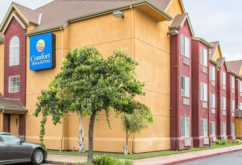 فندق Comfort Inn & Suites Salinas