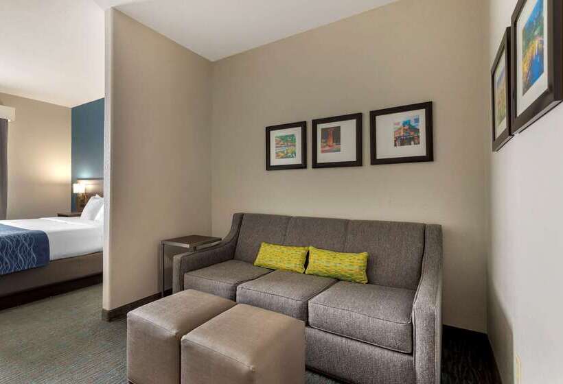 호텔 Comfort Inn & Suites Selma Near Randolph Afb