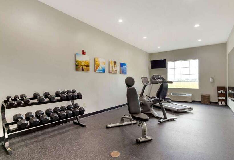 호텔 Comfort Inn & Suites Selma Near Randolph Afb