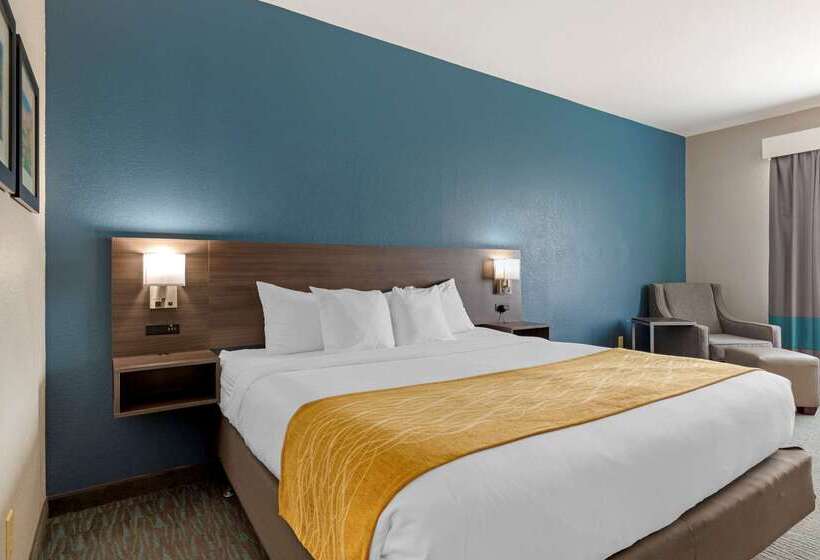 호텔 Comfort Inn & Suites Selma Near Randolph Afb