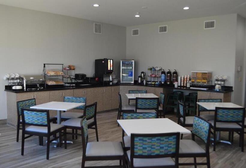 호텔 Comfort Inn & Suites Selma Near Randolph Afb