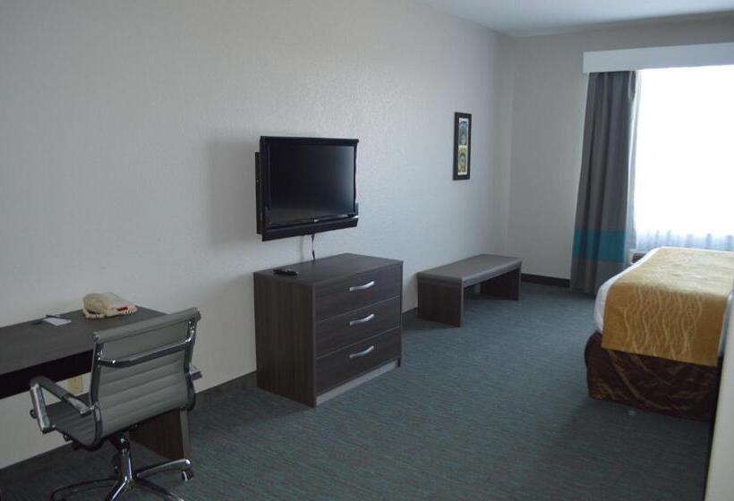 호텔 Comfort Inn & Suites Selma Near Randolph Afb