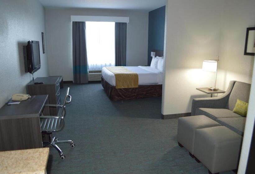 호텔 Comfort Inn & Suites Selma Near Randolph Afb