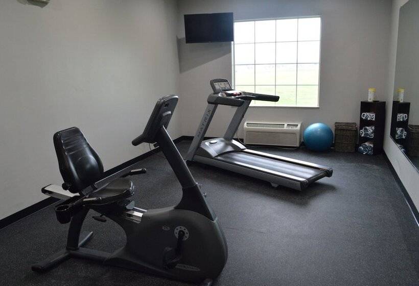 호텔 Comfort Inn & Suites Selma Near Randolph Afb