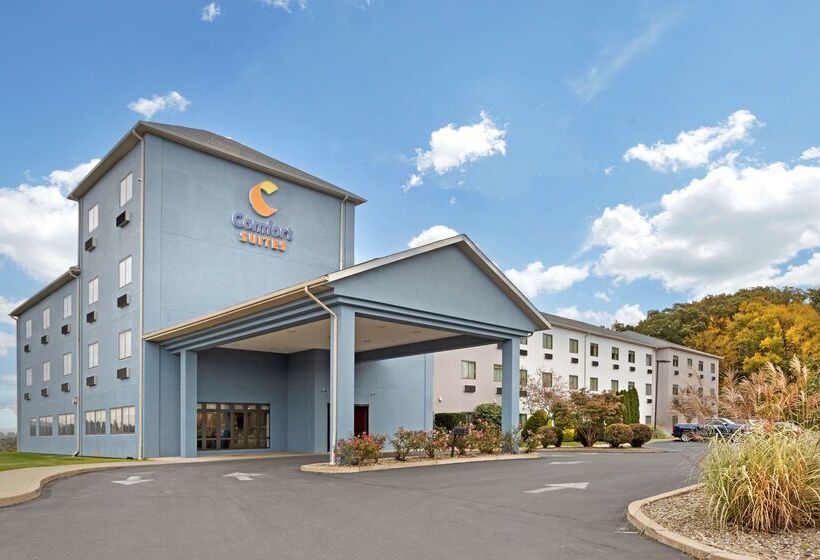 فندق Comfort Suites