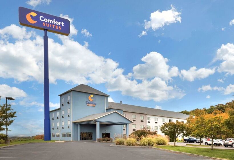 فندق Comfort Suites