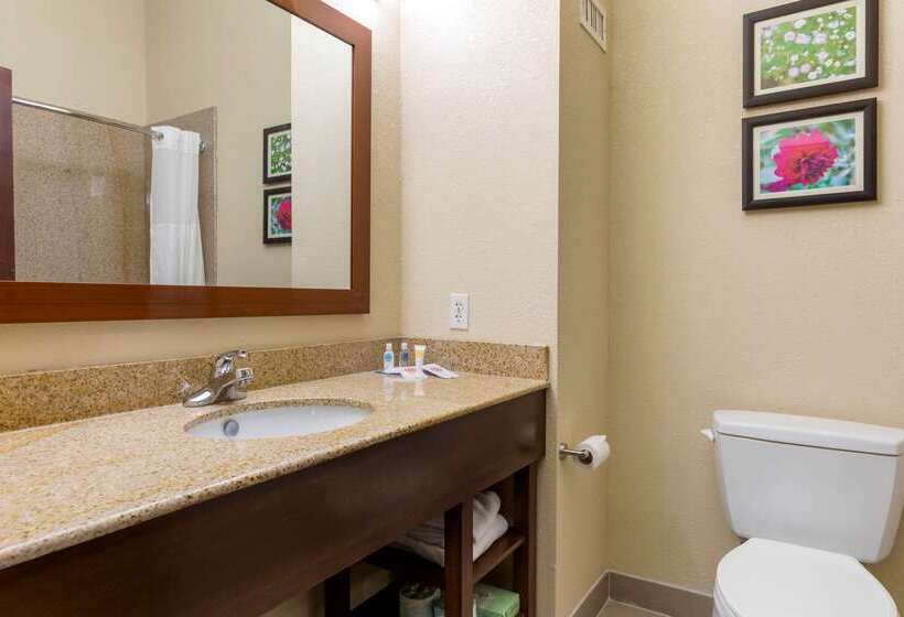 酒店 Comfort Suites