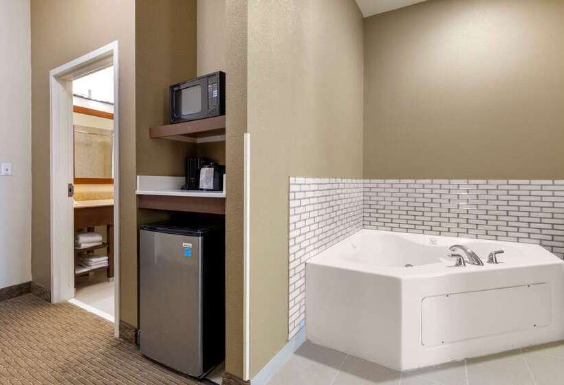 酒店 Comfort Suites