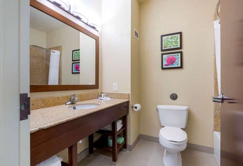 酒店 Comfort Suites