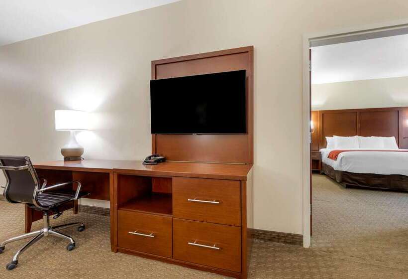 酒店 Comfort Suites