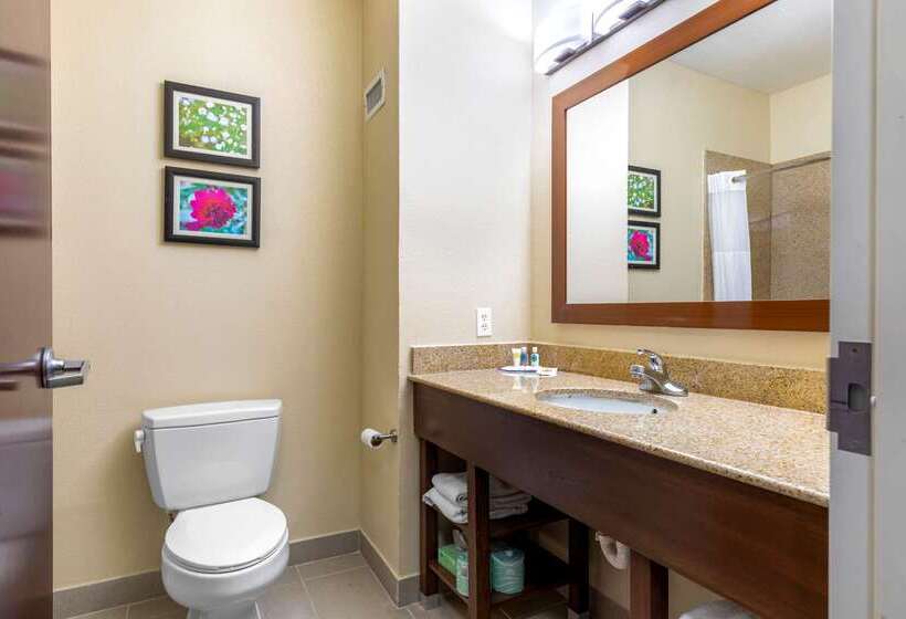 酒店 Comfort Suites