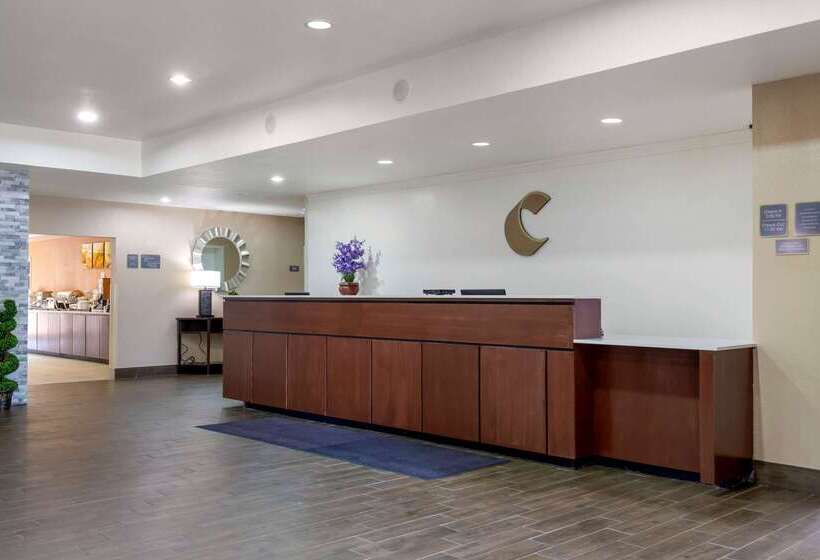 酒店 Comfort Suites